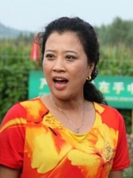 豆腐西施杨七巧_宅剧情