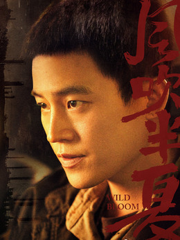 风吹半夏_宅剧情