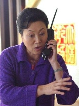 小麦进城_宅剧情