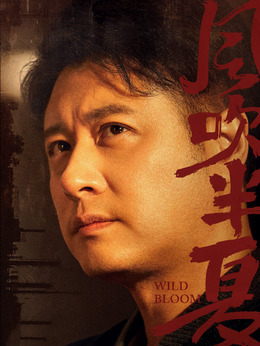 风吹半夏_宅剧情