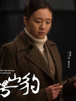 代号·山豹_宅剧情