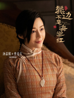 鬓边不是海棠红_宅剧情