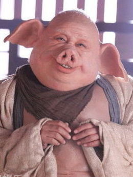 新西游记_宅剧情