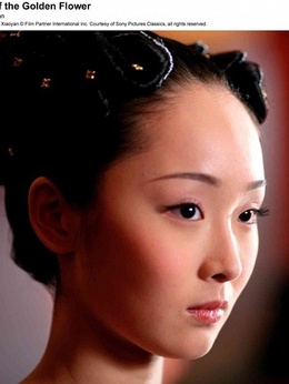 满城尽带黄金甲_宅剧情