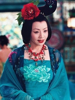 十面埋伏_宅剧情