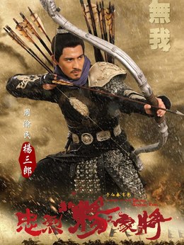 忠烈杨家将_宅剧情