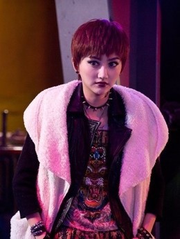 警察故事2013_宅剧情