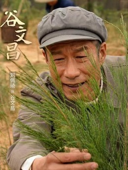谷文昌_宅剧情