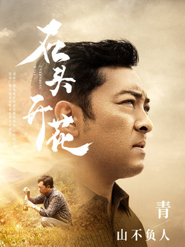 石头开花_宅剧情