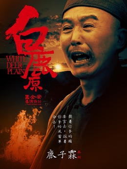 白鹿原_宅剧情