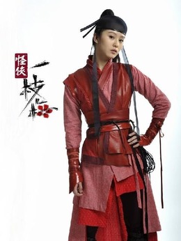 怪侠一枝梅_宅剧情