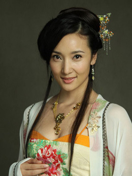 大唐女将樊梨花_宅剧情