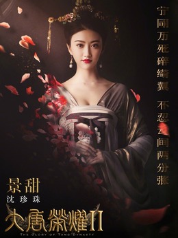 大唐荣耀2_宅剧情