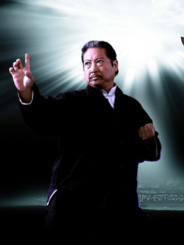 叶问2:宗师传奇_宅剧情