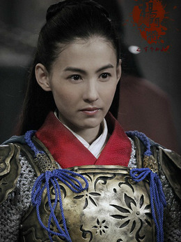 杨门女将之军令如山_宅剧情