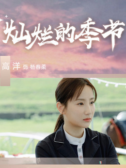 灿烂的季节_宅剧情