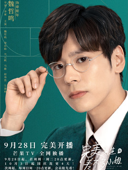 完美先生和差不多小姐_宅剧情