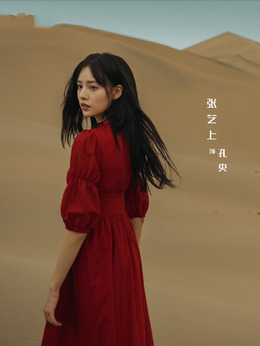 西出玉门_宅剧情