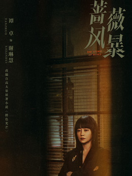 蔷薇风暴_宅剧情