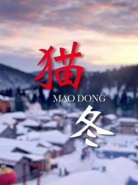 猫冬_宅剧情