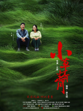 小草青青_宅剧情