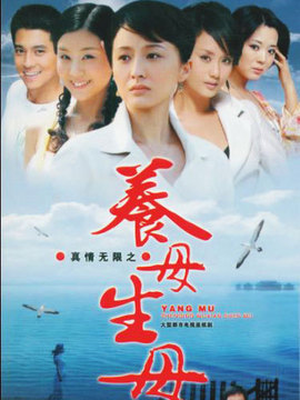 真情无限之养母生母_宅剧情