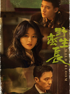 风吹半夏_宅剧情