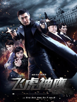 飞虎神鹰_宅剧情