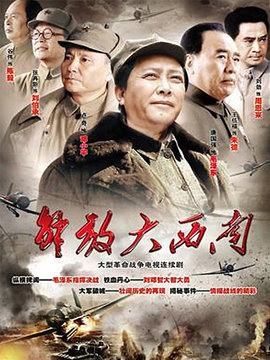 解放大西南_宅剧情