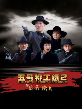 五号特工组之偷天换月_宅剧情
