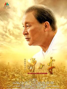 历史转折中的邓小平_宅剧情