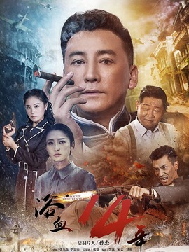 浴血十四年_宅剧情