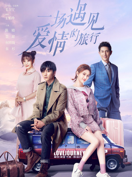 一场遇见爱情的旅行_宅剧情