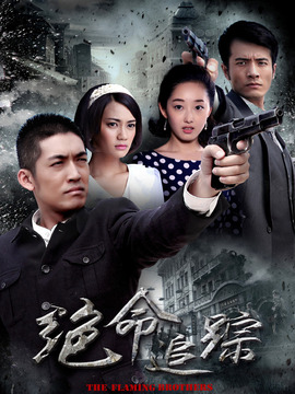 绝命追踪_宅剧情