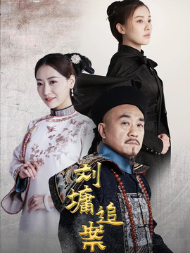 刘墉追案_宅剧情