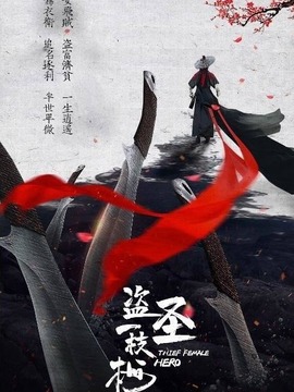 盗圣一枝梅_宅剧情