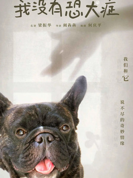 我没有恐犬症_宅剧情