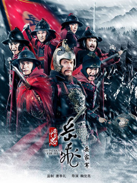 精忠岳飞_宅剧情