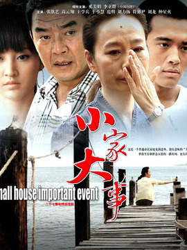 小家大事_宅剧情
