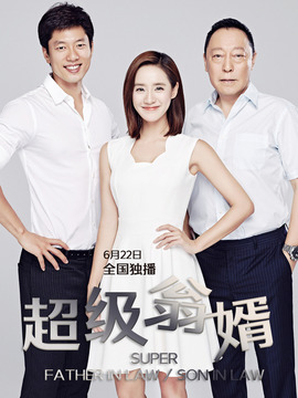 超级翁婿_宅剧情