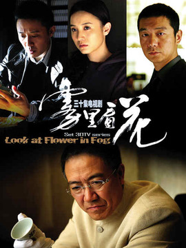 雾里看花_宅剧情