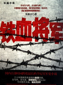 铁血将军_宅剧情