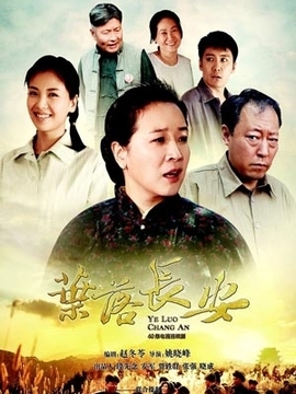 叶落长安_宅剧情