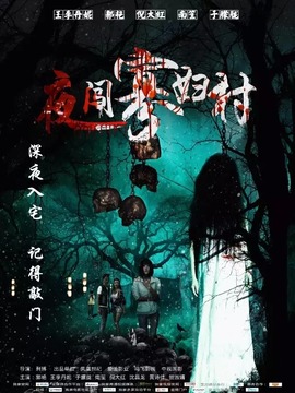 夜闯寡妇村_宅剧情