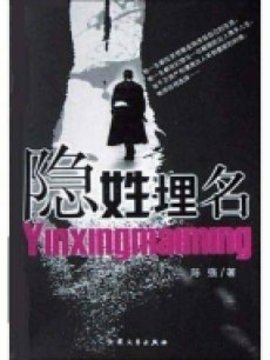 隐姓埋名_宅剧情