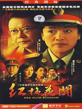 红梅花开_宅剧情