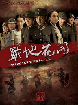 战地花开_宅剧情