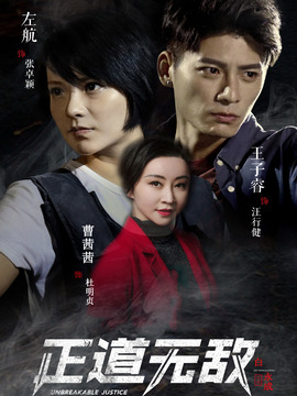 正道无敌_宅剧情