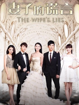 妻子的谎言_宅剧情