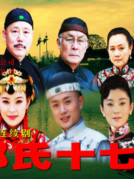 郑氏十七房_宅剧情